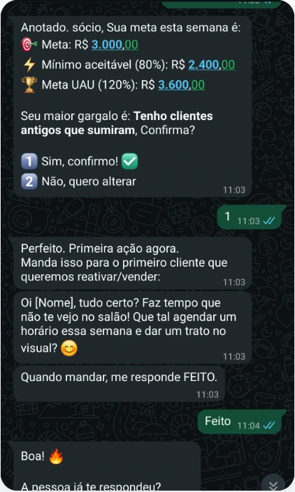 Exemplo de conversa no WhatsApp entre uma empreendedora e o Dvco